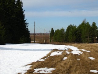 Последний снег (Дмитрий Зонов)