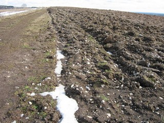 Поле с известняком (Дмитрий Зонов)