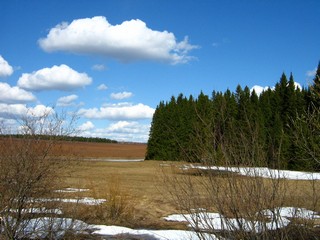 Апрель (Дмитрий Зонов)