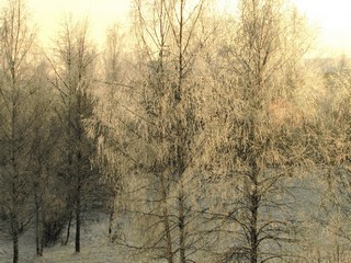 Зима из окна.2009г. (V.Yarochenko)