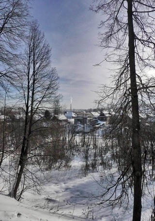 Вид на Малиновую гору (Борис Бусоргин)