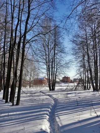 Тропинки Липовой рощи (Борис Бусоргин)