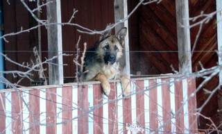 Мне скучно! (Борис Бусоргин)