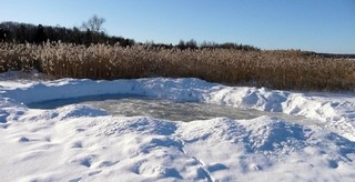 Каток на пруду рядом с посёлком Полигон (Борис Бусоргин)