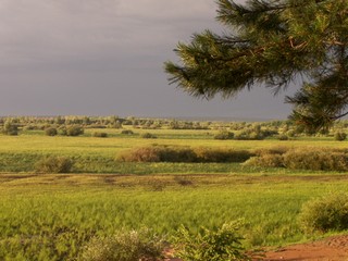 Мыслянный Мыс (arhiwarm)