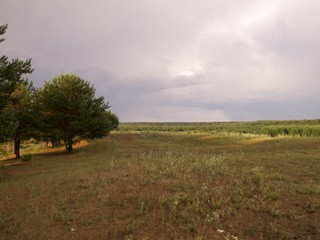 Мыс. После дождя (arhiwarm)