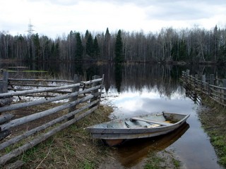 пос.Набережный, Пижма в разливе (Денис Кошурников)