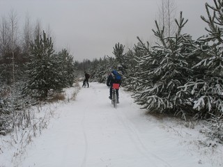 На пути к Горохово (Владимир Мореев)