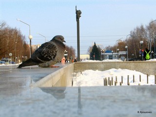 Уныл фонтан зимой. (V.Yarochenko)