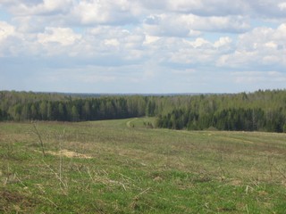 Дорога к р.Хвощевице. (Дмитрий Зонов)