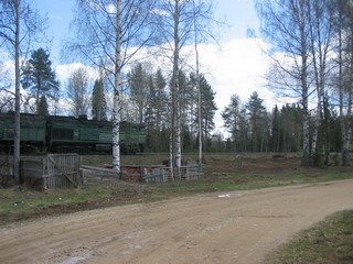 Ж/д у садов Лепсе (41 км) (Дмитрий Зонов)