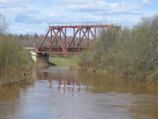 Мост через Медянку. Половодье. (Дмитрий Зонов)
