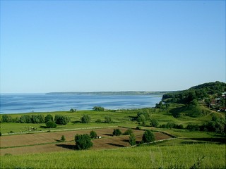 Свадебная поляна (Toshicheg)
