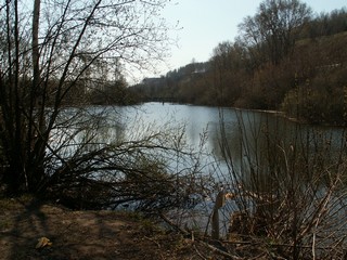 пруд у бани (Юрий Ш)