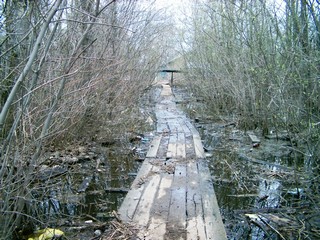 разлив (Юрий Ш)