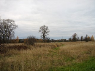 д.Колышманы (Дмитрий Зонов)