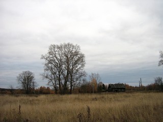 д.Колышманы (Дмитрий Зонов)