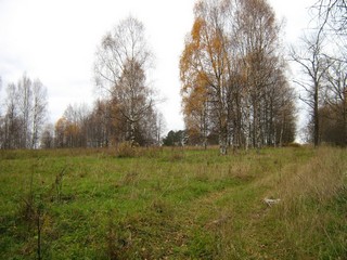 Здесь была д.Городок (Дмитрий Зонов)