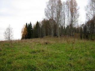 курган в д.Городок (Дмитрий Зонов)