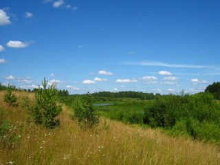 оз.Рычажное (Дмитрий Зонов)