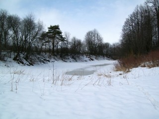 Пойменное озеро у Красавино (Дмитрий Зонов)