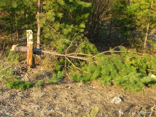 Связисты столбик изобразили. Кундыш. (V.Yarochenko)
