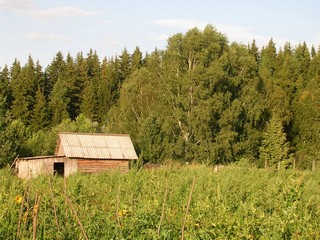 Омшанник (О.Меркульев)