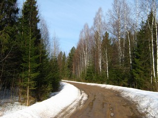 Дорога от садов Лепсе (Дмитрий Зонов)