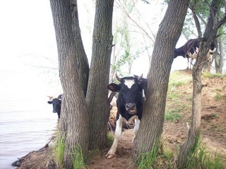 on the riverside_4 (Angelo4ek)