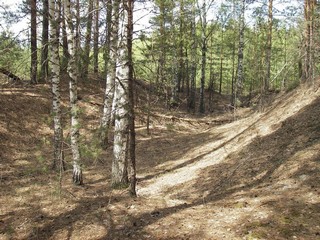 кладбище ИТК 7 (offroadkazan)