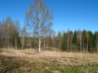 У д.Крутой Лог (Дмитрий Зонов)