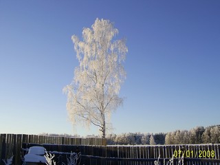 Зимний пейзаж (fosgen782)