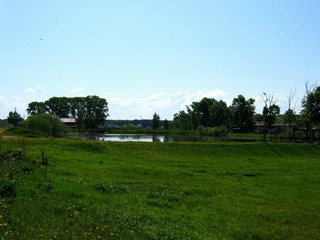 Пруд в п.Сосновый (Дмитрий Зонов)