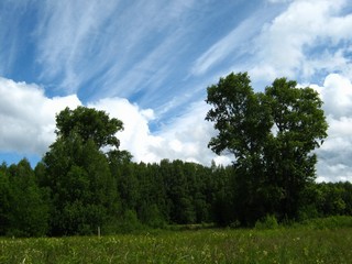 Была деревня... Починок Максичи. (Дмитрий Зонов)