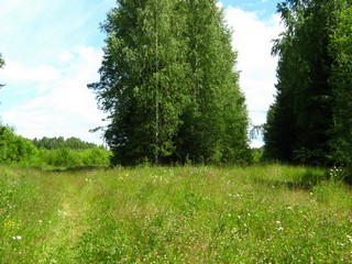 У старой дороги (Дмитрий Зонов)