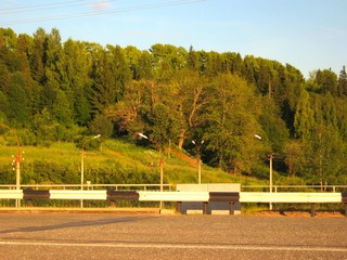 Реликтовый склон с доледниковой флорой (Дмитрий Зонов)