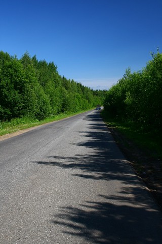 Недалеко от Шестаково (Юрий Зыкин)