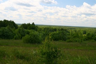 Через Вагули вид на д.Зяблово (Юрий Зыкин)
