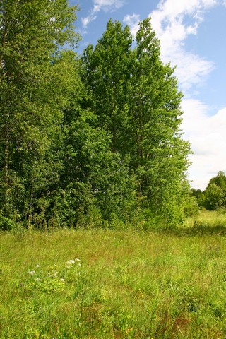 за с.Николаево (Юрий Зыкин)