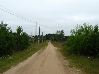 п.Великая, дорога к реке (Дмитрий Зонов)