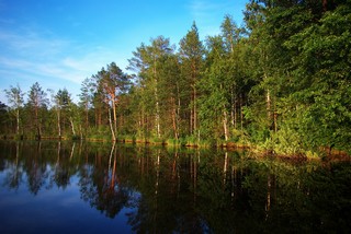 вечернее освещение (sntNicolAs)