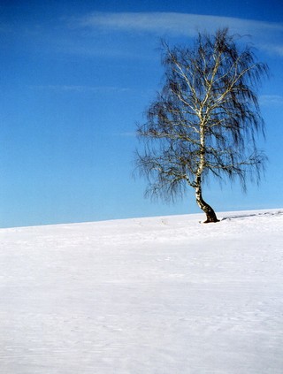 Сине-белое... (rainline)