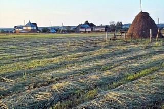 деревенская околица (Sergey Bulanov)