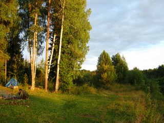 Три берёзки. Наша стоянка. (Дмитрий Зонов)