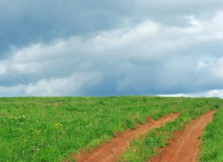 Country Road (svyatoslav)