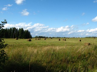 Август (Дмитрий Зонов)