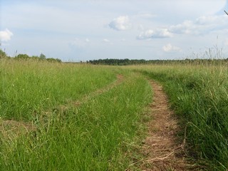 Дорожка, ведущая на устье Кобры (Роман Кобелев)