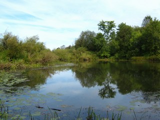Безымянное озеро (Дмитрий Зонов)