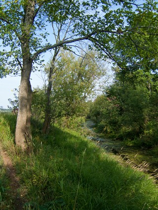 ова. Ручеек и болото. (Tahir Gabidullin)