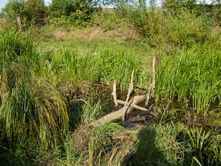 Переправа через ручеек (Tahir Gabidullin)